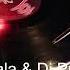F Zappala Dj Professor We Gotta Do It