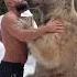 Bear Wedding Remix Truelove