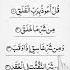 Surah AL FALAQ Egzon Ibrahimi Quranrecition Qurantilawat Egzonibrahimi Shorts Shortvideo