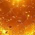 AI Talking Heart Of Gold New Eurodisco 2025