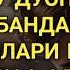ИШ ЮРИТУВЧИ ДУО дуолар канали