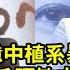 3 72萬億 中植系暴雷影響遠超恆大 毛阿敏丈夫的金融帝國 毛阿敏 Maoamin Maoamin毛阿敏