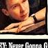 Rick Astley Never Gonna Give You Up Radio Version