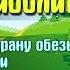 Доктор Айболит часть 1 Путешествие в страну обезьян глава 2 Обезьяна Чичичи Аудиосказка