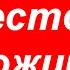 Money Birds все работает и вывод денег