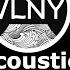 VLNY Зеленоглазое такси Боярский Acoustic Cover Волгоград
