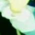 젝스키스 Sechs Kies 폼생폼사 PomSaengPomSa 1997