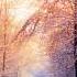 Max Graham Ft Neev Kennedy Sun In The Winter Alex M O R P H Remix
