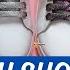 Learn How To Lace Your Shoes In 13 Unique Ways Shoelaces Kihoav