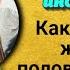 Смешные анекдоты Как устроены женские половые органы