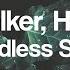 Alan Walker Hernandz Endless Sea
