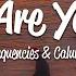 Lost Frequencies Where Are You Now Lyrics Ft Calum Scott
