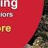 Daily Qigong With Don Fiore 20 Min