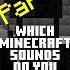 DO YOU KNOW THESE MINECRAFT SOUNDS PART 5