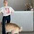Мега танец с собакой Goldenretriever Sashabelair Dogdance танцыссобаками