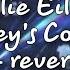 Billie Eilish Halley S Comet Slowed Reverb Lyric