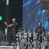 Pitbull In London Ontario