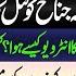 Imran Khan Made History By Rejecting The Deal Irshad Bhatti Ft Hamid Mir