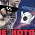 НЯШНЫЕ КОТИКИ ПОЮТ