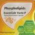 Essentiale Forte P Help Your Liver Detox Daily