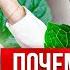 МЕЛИССА ЛУЧШЕЕ масло для НЕРВНОЙ СИСТЕМЫ 12 причин ИСПОЛЬЗОВАТЬ ЭФИРНОЕ МАСЛО МЕЛИССЫ дома