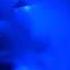 Rammstein Mein Herz Brennt Live Lyrics перевод песни