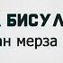 Аманта Бисултанова Сан мерза са