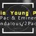 2Pac Eminem If I Die Young