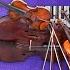 Mandolin Concerto No 1 In C Major RV 425 I Allegro