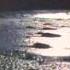 Northwind Peaceful 1971