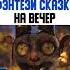 Хроники Панголинов 2023
