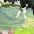 Collection Of Cute Animal Sounds Cow Cat Chicken Dog Sheep Cat Horse Cute Animal Moments