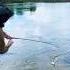 Голавль пришел Youtubeshorts рыбалка Fishing Youtube