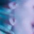 Halsey Not Afraid Anymore Video Cover By Roniit Fifty Shades Darker