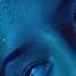 Katatonia Deadhouse Night Watch Video