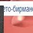 РЕАКЦИЯ История чикушек RYTP
