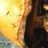 Half Life 2 клип
