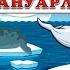 АРКТИКА ЖАНУАРЛАРЫ
