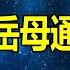 與岳母通姦