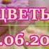 ЦВЕТЫ Я подарю тебе букет красивых цветов Поэзия о любви Стихотворение Светлана Ян 22 06 2020