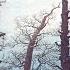 Winterreise Op 89 D 911 No 19 Tauschung