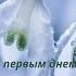 С первым днем весны Красивое поздравление с весной