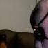 The Hot Sardines Bei Mir Bist Du Schoen Official Video Reaction