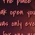 Shawn Mendes Falling All In You Lyrics