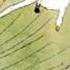 The Wonderful Adventures Of Nils By Selma LAGERLÖF Part 1 2 Full Audio Book