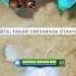 Висп и прикольные фразы героев Shorts Dota Dota2 Games Memes дота2 дота Pubg Wtf