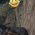 Arthur Falling Scream Always Makes Me Laugh