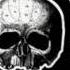 Black Label Society Fire It Up Mafia Album