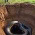 Two Men Accidentally Discovered A Giant Python In Their Garden Animals Shorts