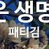 KY ENTERTAINMENT 사랑은 생명의 꽃 패티김 KY 447 KY Karaoke